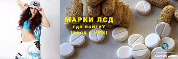 амф Верхний Тагил