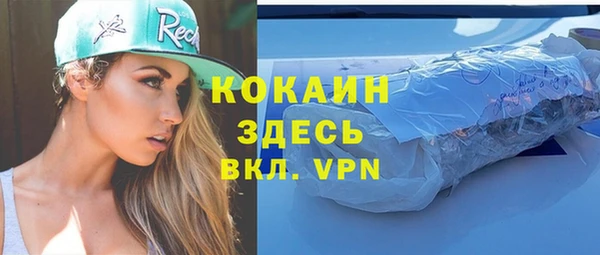амф Верхний Тагил