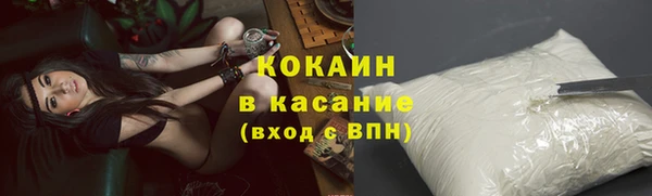 амф Верхний Тагил
