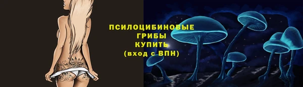 амф Верхний Тагил