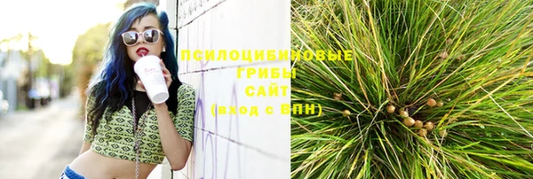 кокаин Бородино