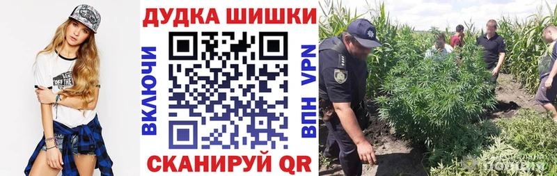 Конопля семена  Купить где  Далматово 
